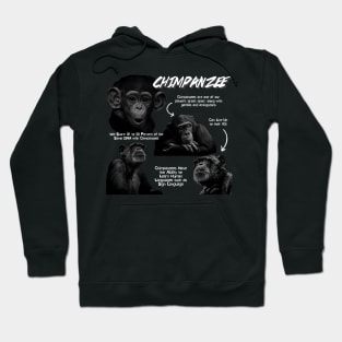 Chimpanzee Fun Facts Hoodie